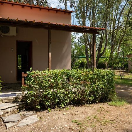 Camping Pefki Ξενοδοχείο Εξωτερικό φωτογραφία