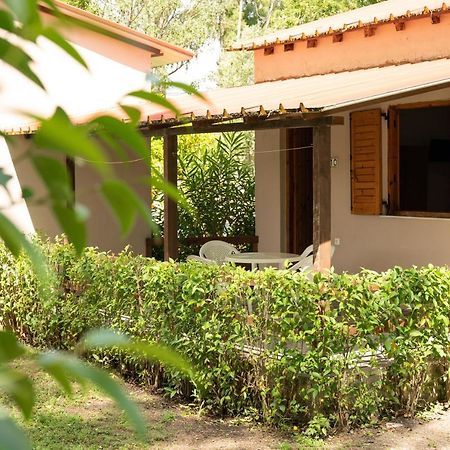 Camping Pefki Ξενοδοχείο Εξωτερικό φωτογραφία
